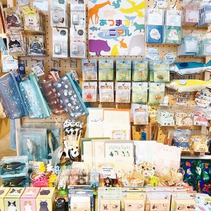 shopinfo290_20250725_001_001