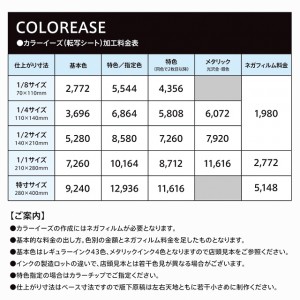 shopinfo290_20251113_001_0001